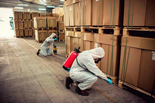 Best Termite Control Services  in Untain Grove, MO