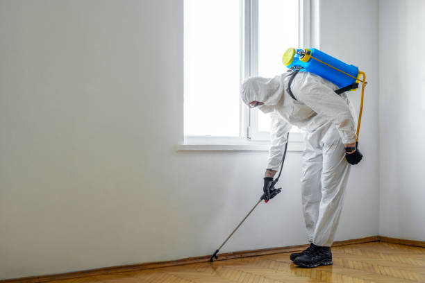 Best Cockroach Control Services  in Untain Grove, MO