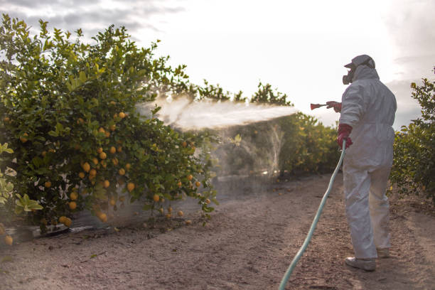 Best Residential Pest Control  in Untain Grove, MO