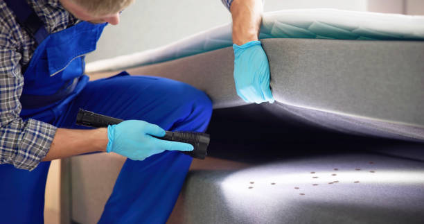 Best Emergency Pest Control  in Untain Grove, MO