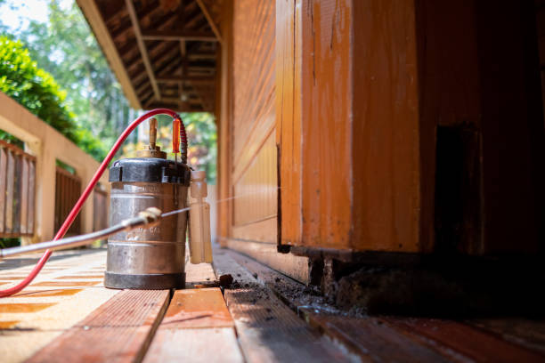 Best Best Pest Control Companies  in Untain Grove, MO